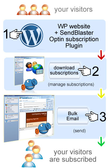 email marketing web cycle with bulk emailing